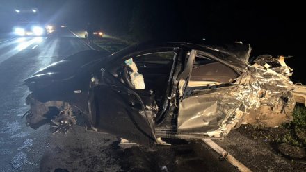Подросток и 3-летний малыш пострадали в массовом ДТП в Воронежской области
