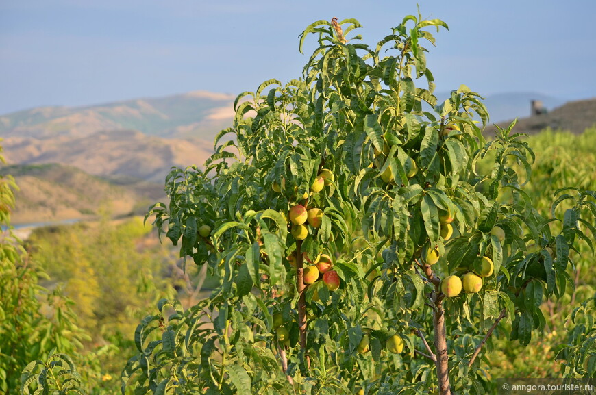 Восточная оконечность Большого Кавказа