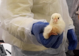 фото: Уральское таможенное управление