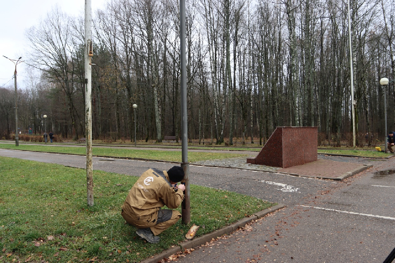 Новости смоленска реадовка сегодня. Реадовский парк Смоленск. В парке. Парк Победы Кострома. Парка.