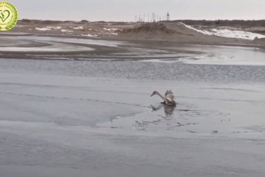 5769061.jpg?7dadde6f39bf8168556c562112e342c1