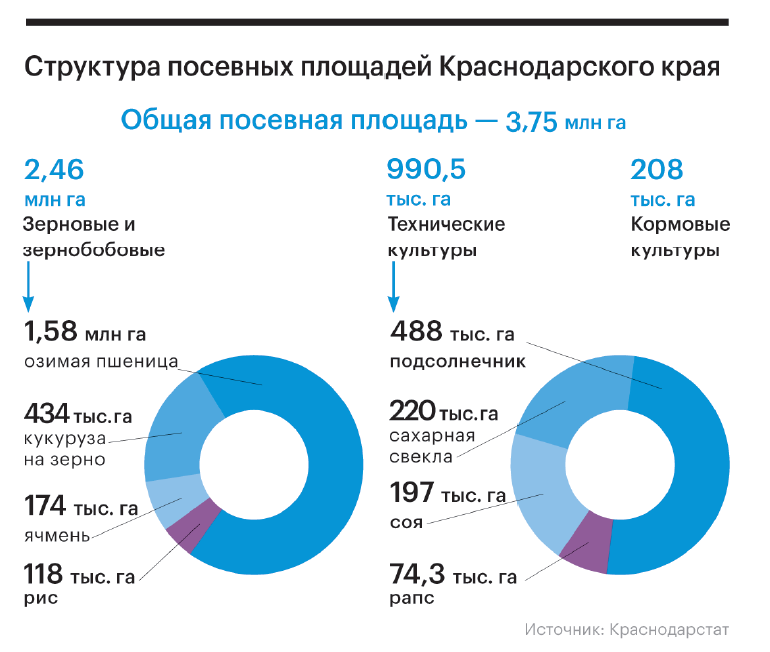 Не только зерно: какие культуры в АПК станут прибыльными к 2030 году?