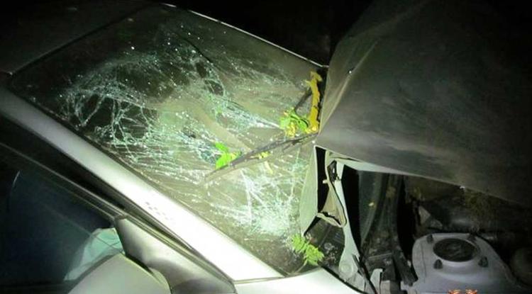 В Белгородской области два ребёнка пострадали в ДТП