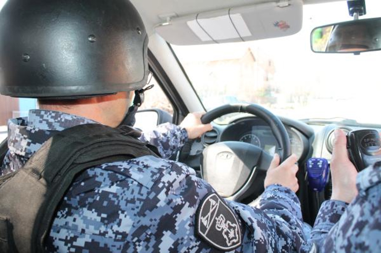Росгвардейцы задержали двух молодых людей за хищение товара из магазина