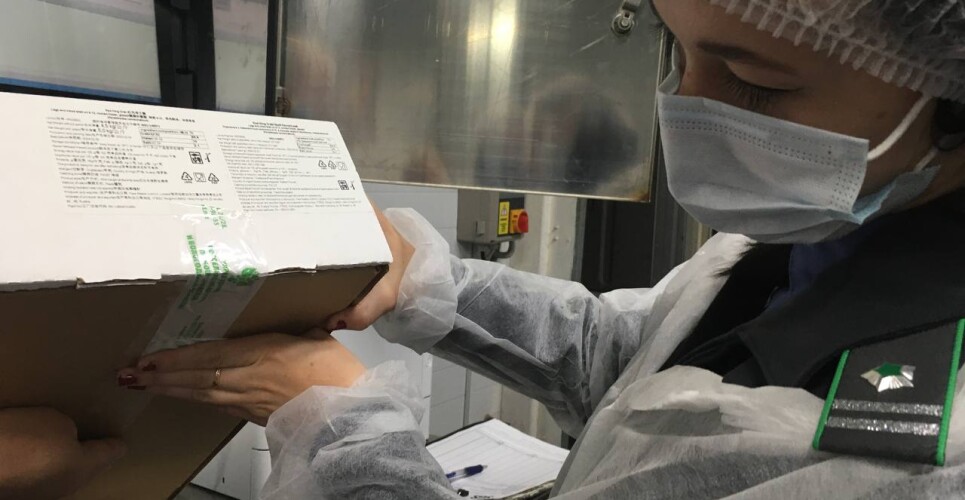 Экспорт продукции новгородских рыбзаводов вырос на 20%