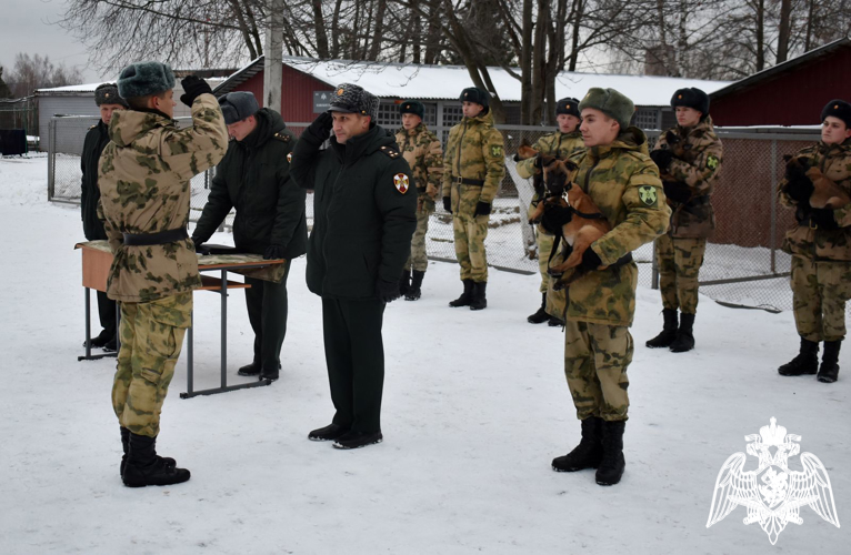 Курсантам Пермского военного института Росгвардии торжественно вручили щенков