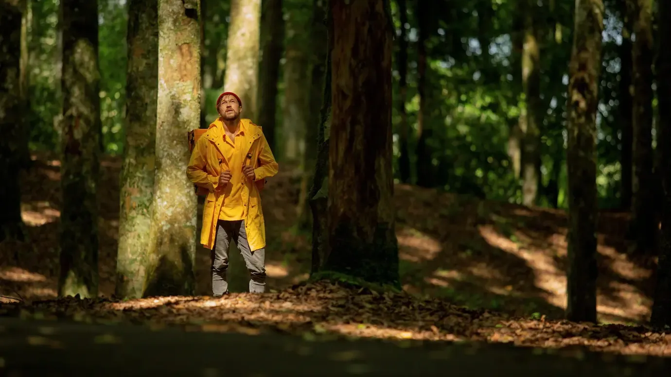 Young forest. Форест мен. Sons of the Forest Вирджиния. Through the Forest. Walk through the Forest.