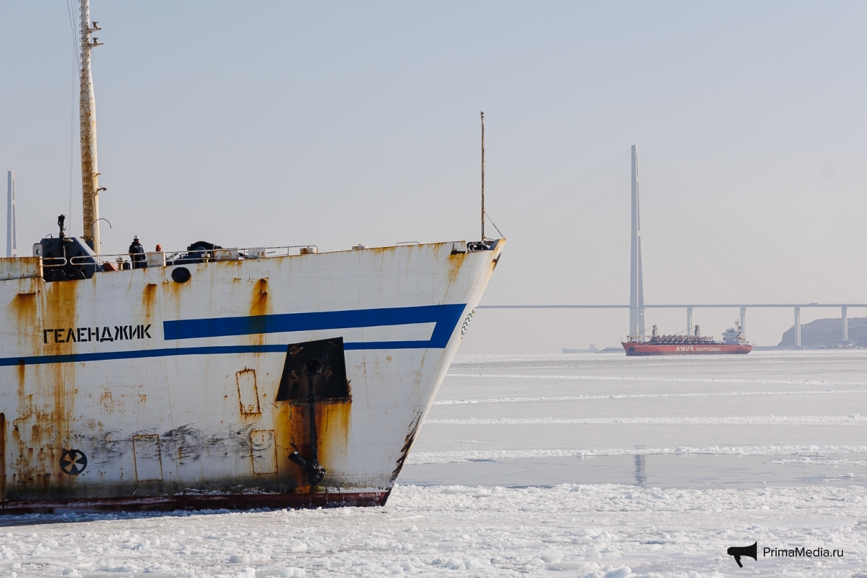 контейнеровоз dsr senator vladivostok. пасифик марин тролерз владивосток. рыболовецкое судно владивосток. корабль иртыш владивосток. где судно владивосток.