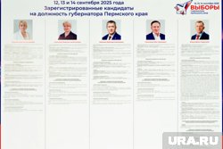 Так будут выглядеть информационные листовки о кандидатах на УИКах