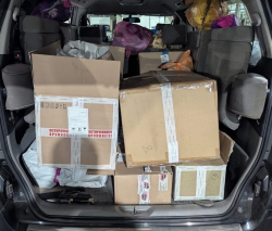 ИЗЪЯТО БОЛЕЕ 600 ЕДИНИЦ НЕЗАДЕКЛАРИРОВАННОЙ КОСМЕТИЧЕСКОЙ ПРОДУКЦИИ