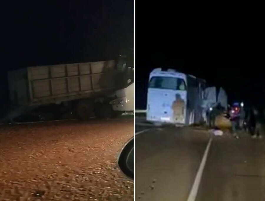 Пассажирский автобус с туристами из Китая врезался в прицеп зерновоза