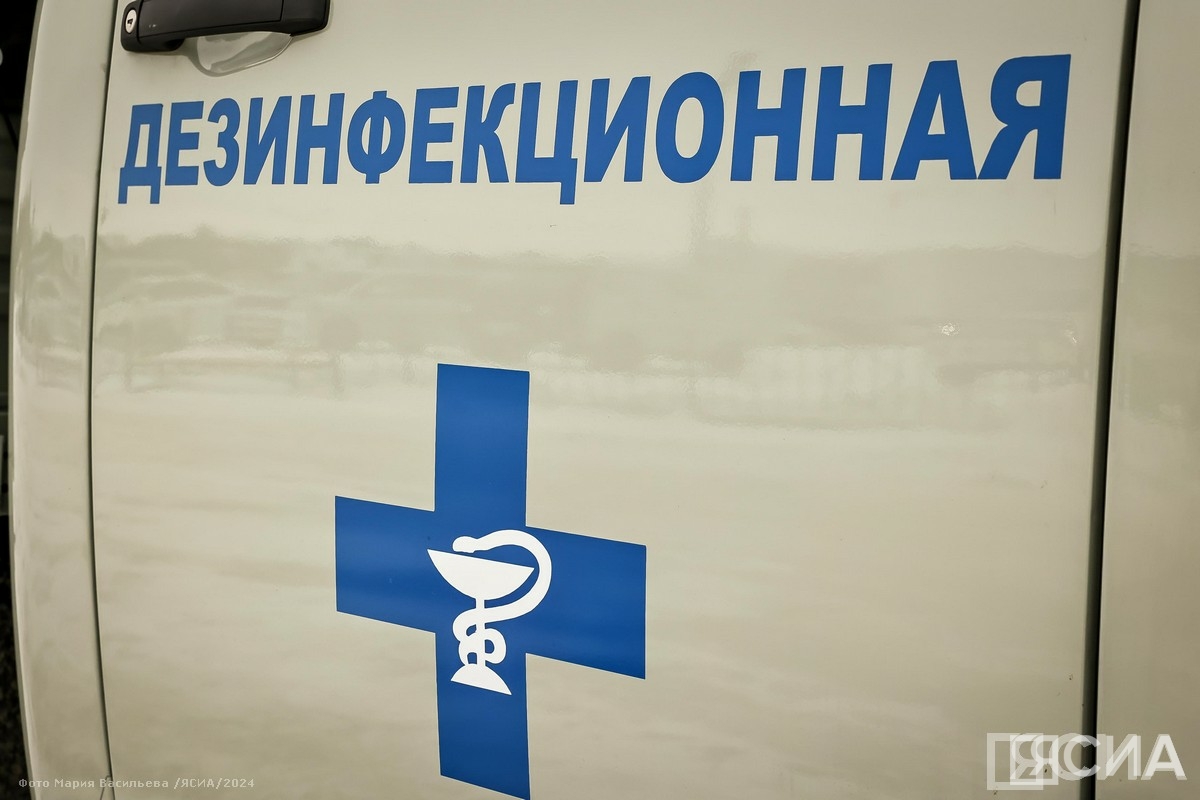 Фото: Мария Васильева/ЯСИА