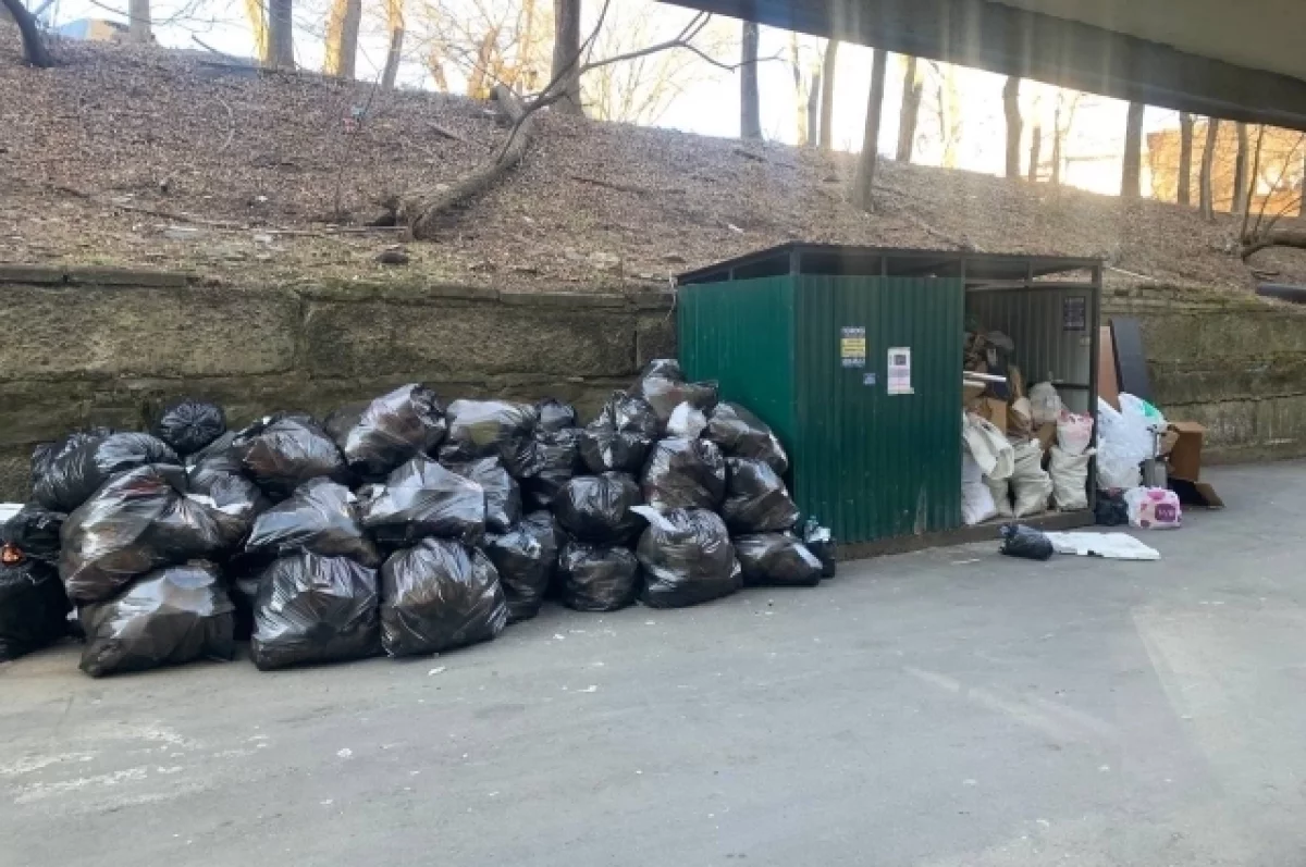 Место обитания крыс во Владивостоке