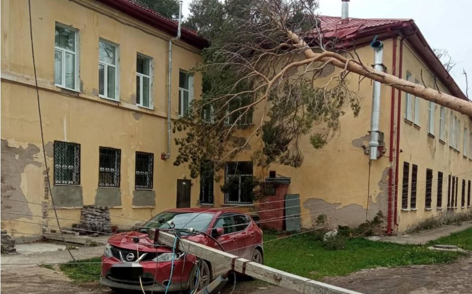 В Прикамье штормовой ветер повалил бетонные столбы и деревья на машину и дом