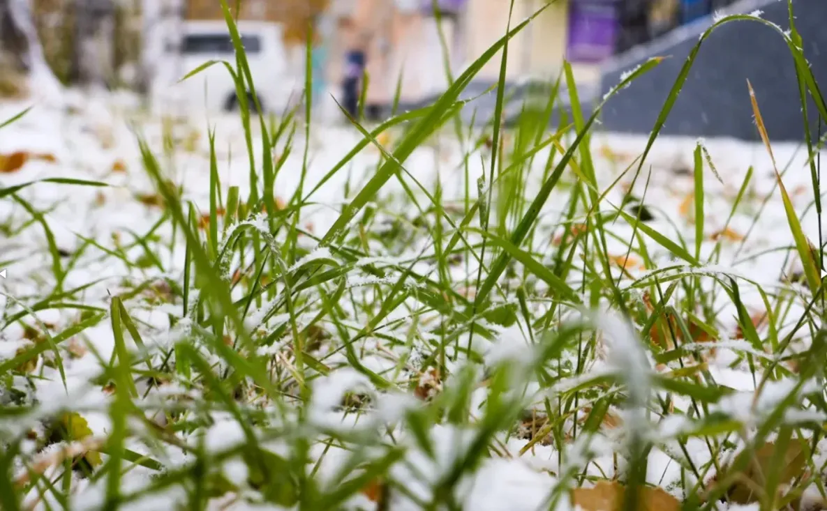 На календаре ноябрь: в Хабаровске месяц начнётся без погодных сюрпризов