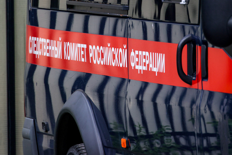 Стало известно, кем была расчлененная женщина из Красноярска