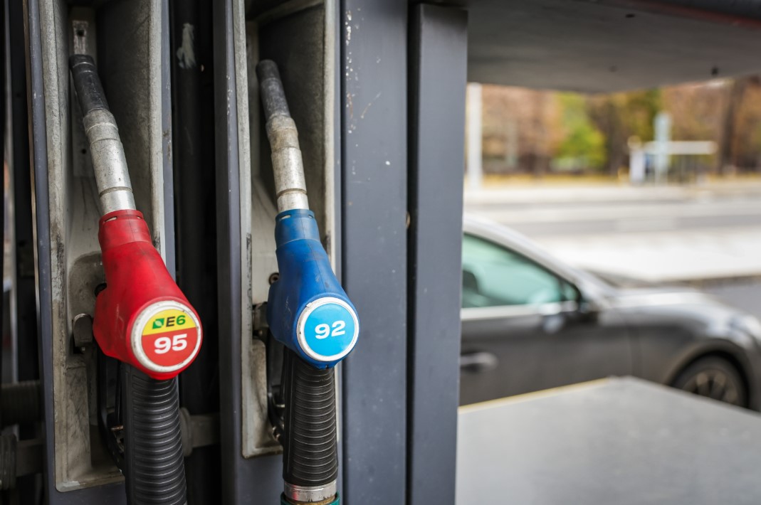 Фото: Роман Наумов / URA.RU