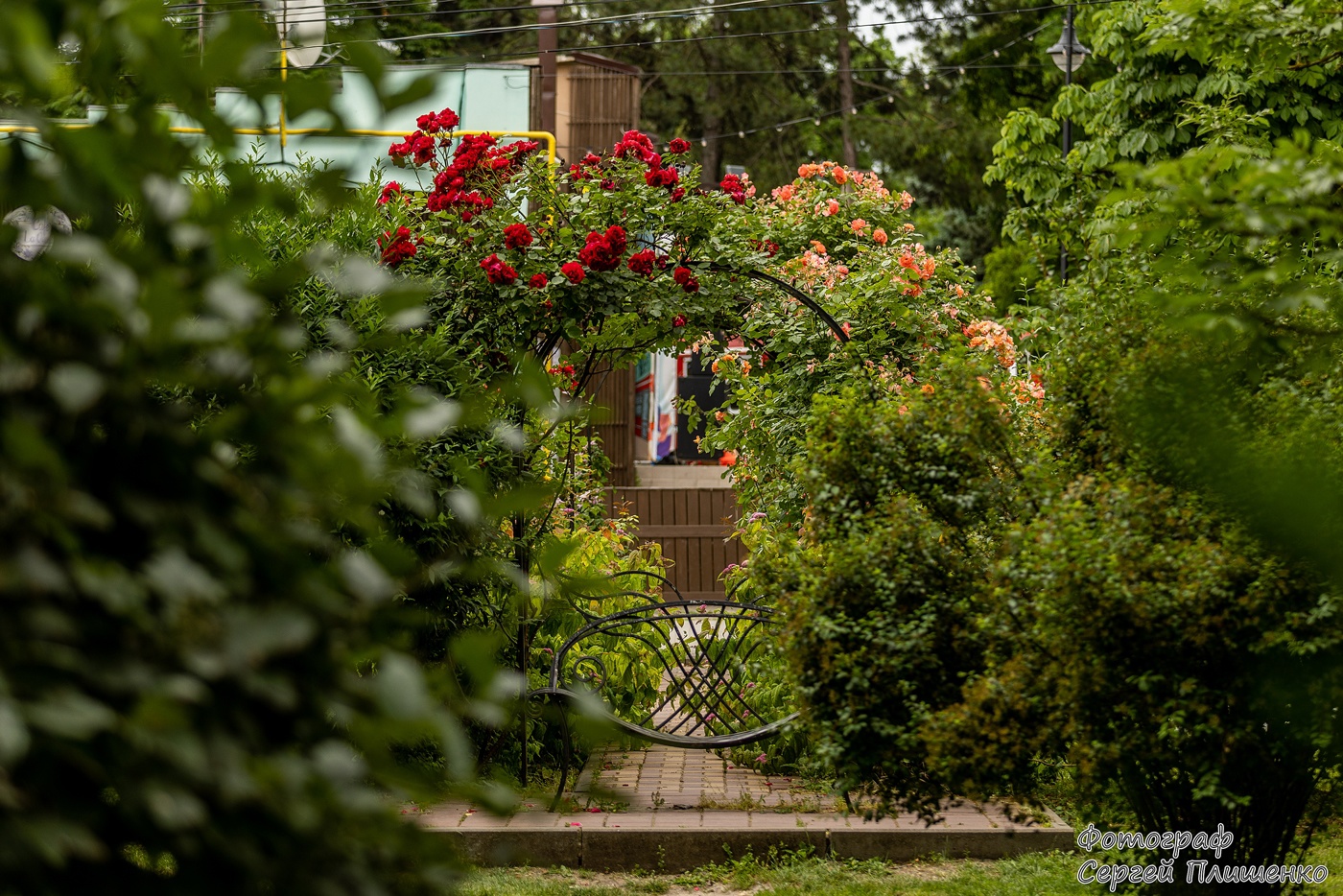 17 этажка в таганроге. Энгельса 17 таганрог. Таганрог улица свободы 21. Таганрог 17. Пятерочки таганрог фото.