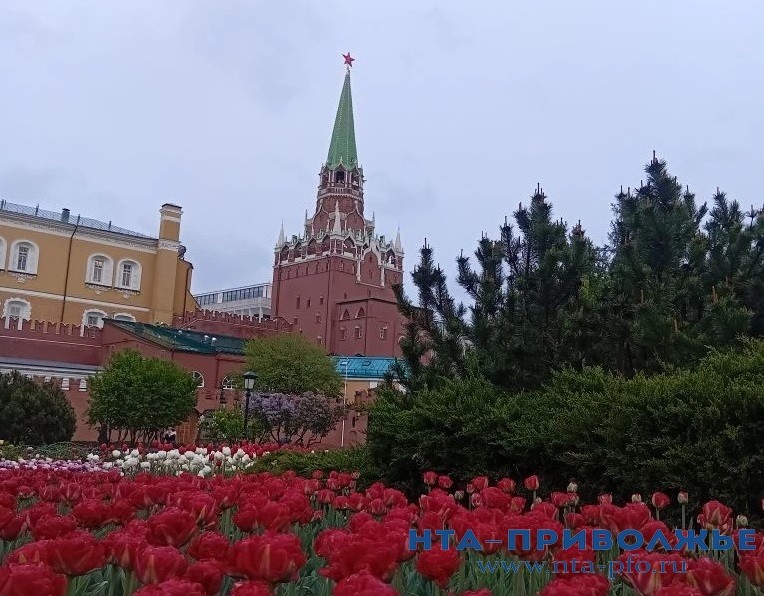 Выходные в Москве: нижегородцам представили летнюю программу столицы