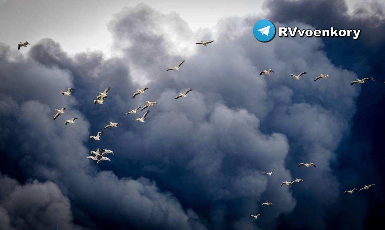 Удары по ж/д инфраструктуре в Харьковской области — подробности