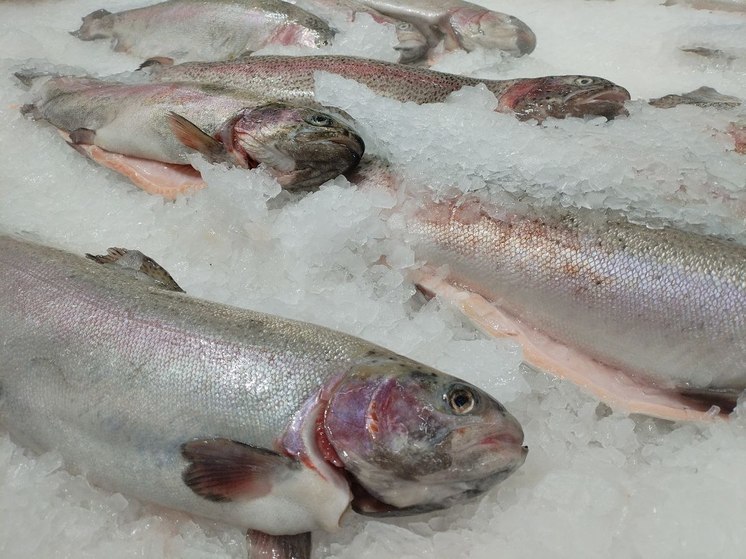 Калининградские власти связывают рост цен на рыбу с сезонностью