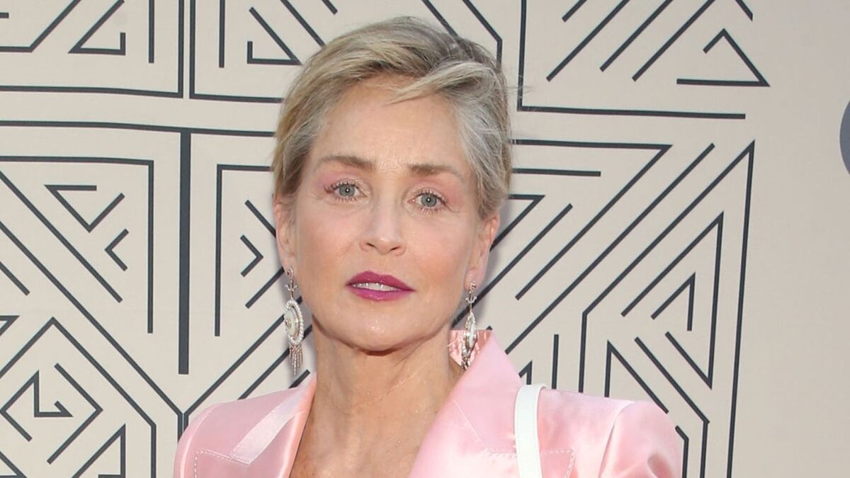 Актриса sharon. Актриса sharon. Шэрон стоун профессионал. Шэрон уиллс сейчас. Актриса sharon.