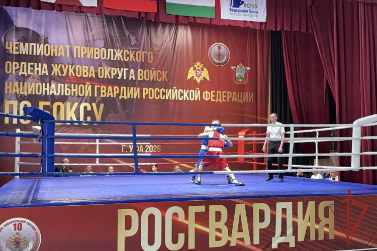 Сотрудник Управления Росгвардии по Республике Марий Эл завоевал второе место на чемпионате Приволжского ордена Жукова округа по боксу