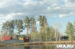 Общая площадь участка с пятью домами - 80 соток