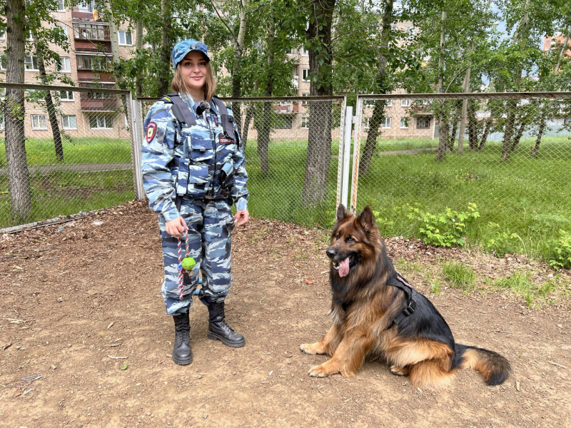 План работы кинологической службы на один год