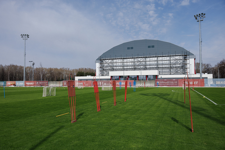 Всего за две недели газон привели в такой порядок