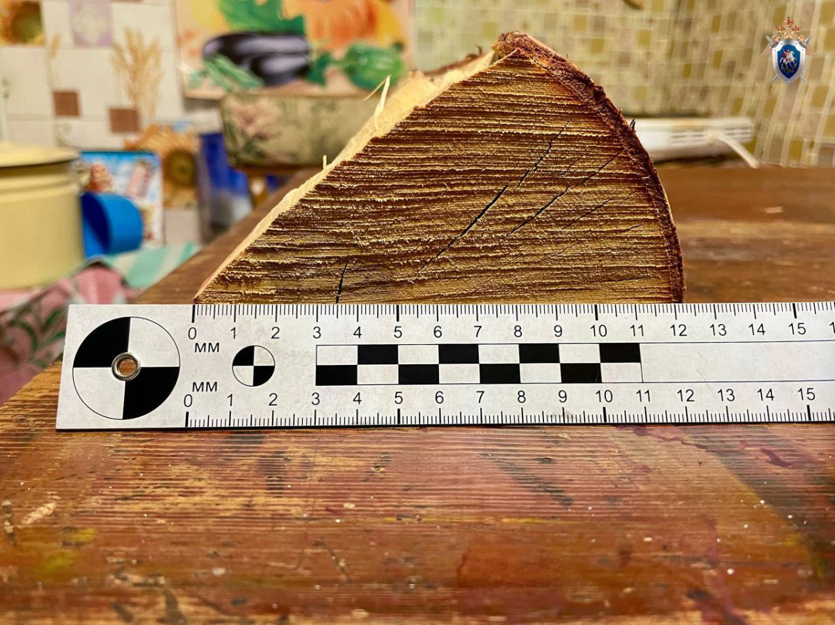 Житель Лузы жестоко убил друга и попытался скрыться в Архангельской области