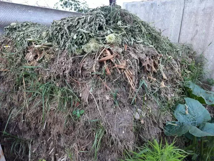 Компост