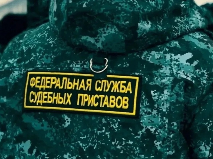В Кузбассе судебные приставы спасли мальчика на трассе