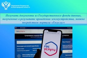 Как получить документы из ГФДЗ?