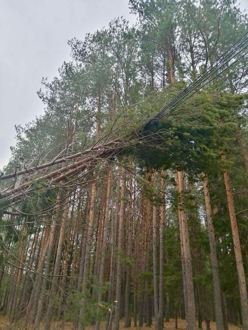 Свердловские энергетики завершают устранение последствий непогоды (ФОТО)