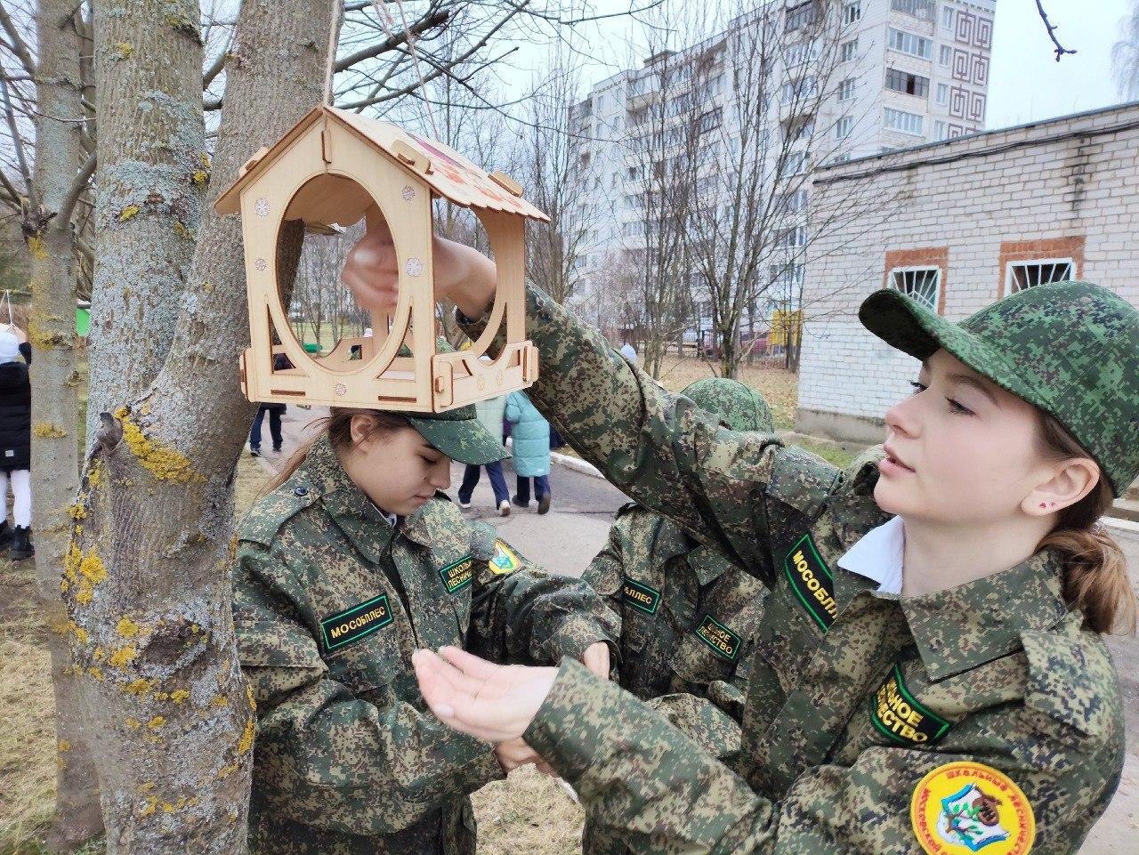 Фото: Комитет лесного хозяйства Московской области