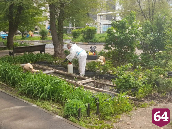 В Энгельсе продолжается дезинфекция дворов после аварии на коллекторе