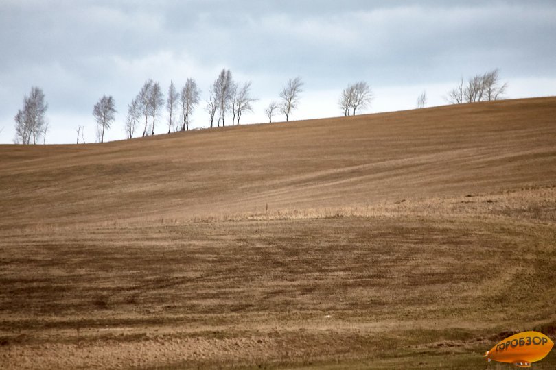 В Башкирии потеплеет до +9 градусов
