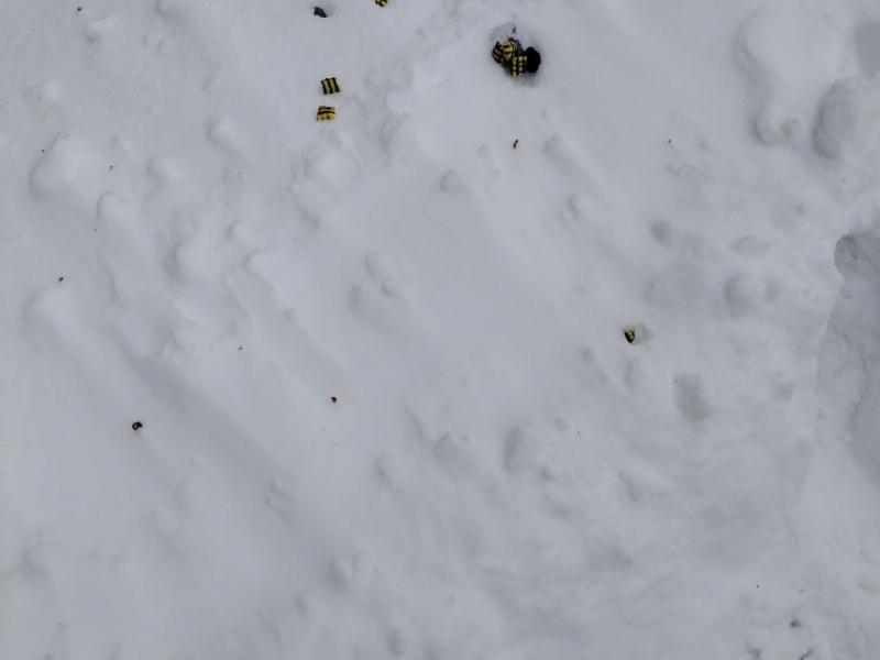 57c8d002-a625-4932-ba31-101f48dd9dab