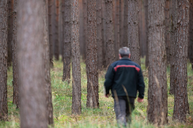 охрана леса егерь лесник 