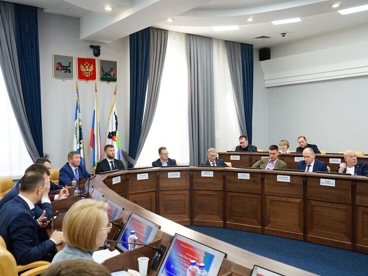 Депутаты думы Иркутска заслушали доклад о мошенниках