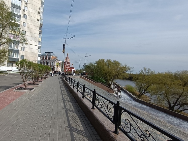 В Зауралье семье участника СВО отказали в выдаче удостоверения многодетной