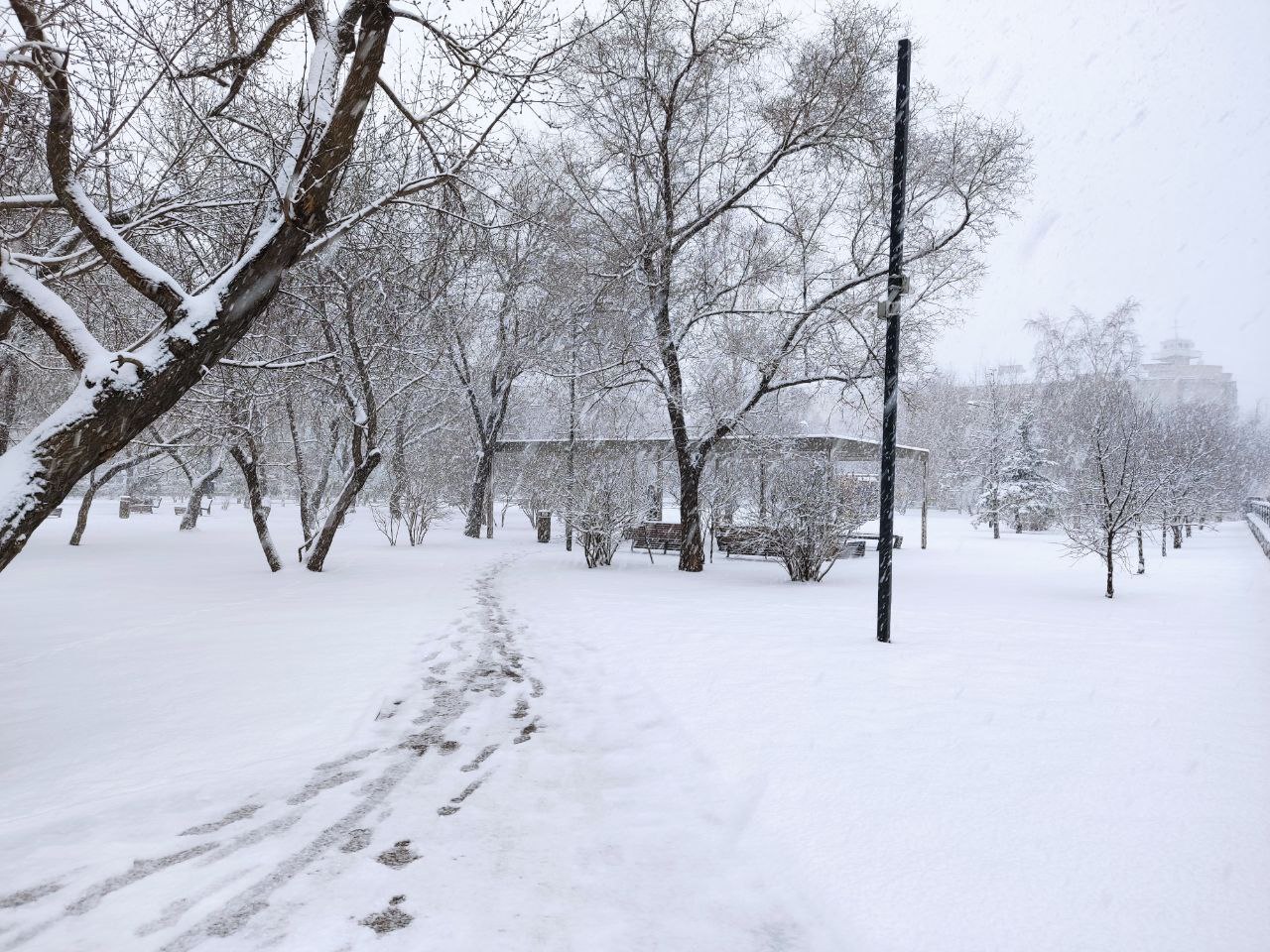 снежная 25 москва