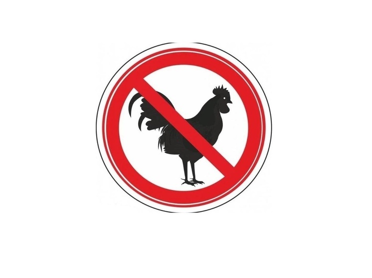 В Ярославской области есть угроза гриппа птиц