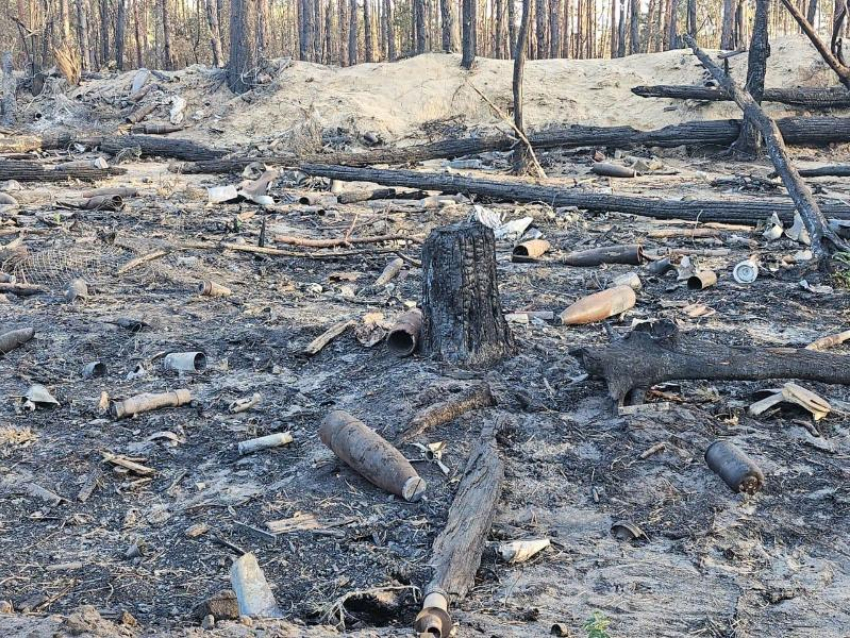 Неразорвавшиеся снаряды пытаются сдать на металлолом в Воронежской области