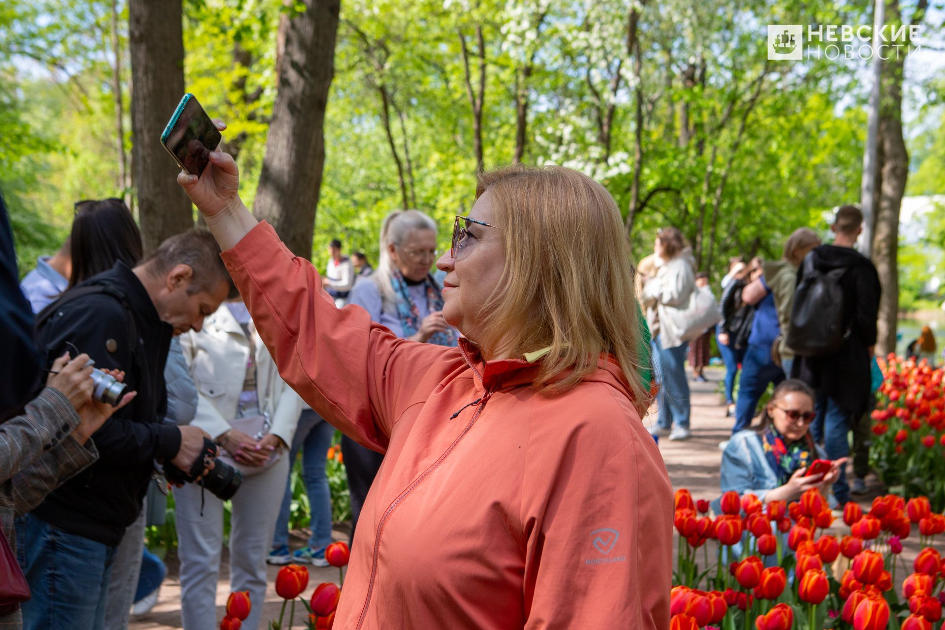 остров тюльпанов