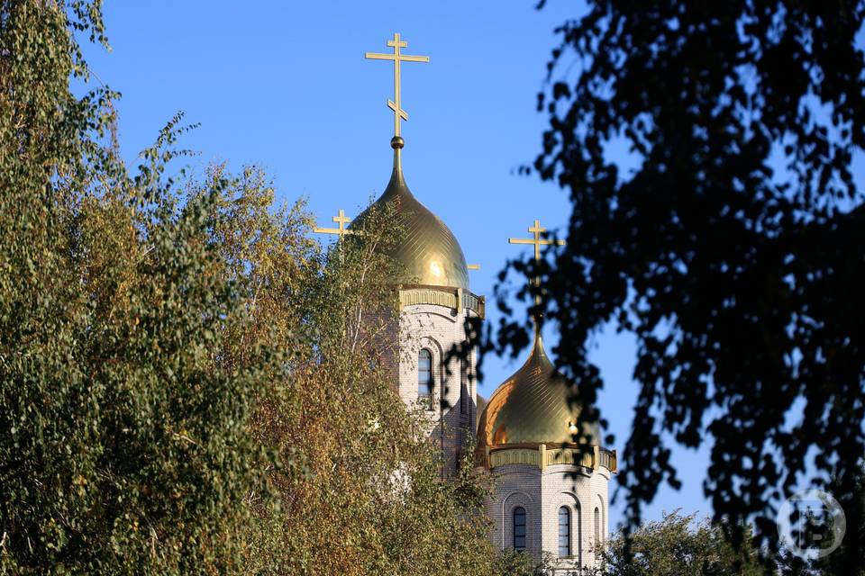 РПЦ считает, что эволюция не противоречит Божественному замыслу