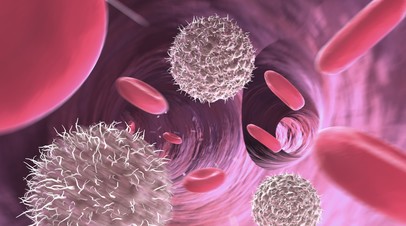 Лимфоциты и эритроциты в кровеносном сосуде