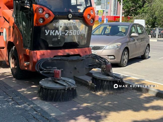 4,2 млн квадратных метров растительности предстоит выкосить коммунальщикам в Белгороде - Изображение 3