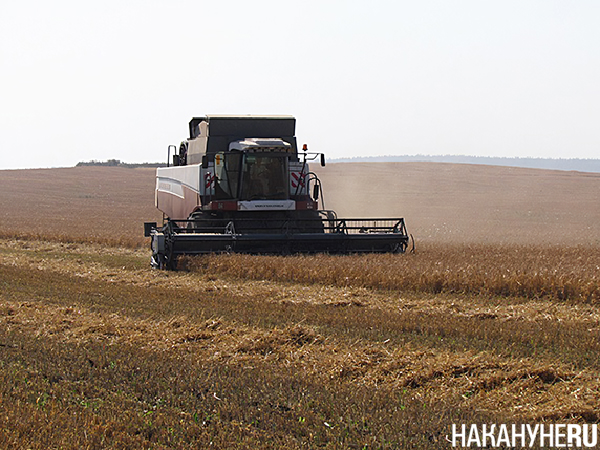 Фото: Накануне.RU